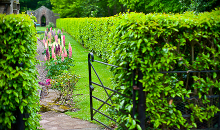 LadykirkJune2011-1001234-4 LadykirkJune2011-1001234-4