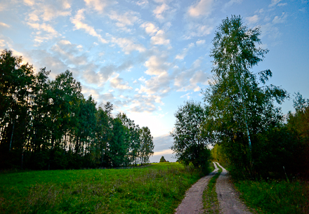 DrweckPaniLucyna-1002464 Dusk by the woods, Western Masury